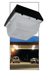 175 Watt Metal Halide Canopy