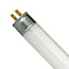 T5 Fluorescent