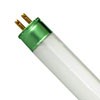 T8 Fluorescent