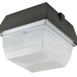 NaturaLED 7085 LED-FXCCM60/50K/DB 60W Canopy Light 5000K