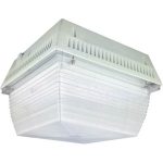 NaturaLED 7537 LED-FXCCM60/50K/WH 60W Canopy Light 5000K
