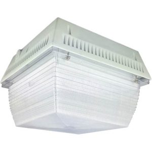 NaturaLED 7537 LED-FXCCM60/50K/WH 60W Canopy Light 5000K