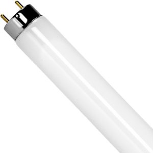 Profusion LED F32T8 Light Bulbs 32 Watt 82 CRI (25 pieces per case)