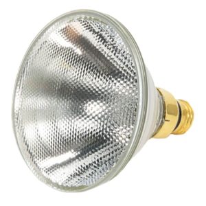 Plusrite PAR38 75 Watt Standard Length