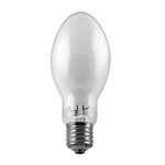 PLUSRITE 2003 100 Watt Sodium Lamp S54 ED17