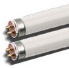 Fluorescent Tubes