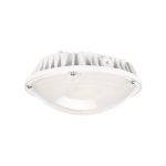 Profusion LED PLNCP-60W-120V-50K LED 60W Parking Garage Light 5000K