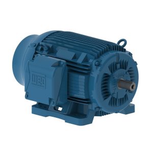 12512ET3G445T-W22 NEMA Premium Efficiency 125 HP 6P 444/5T 3Ph Motor