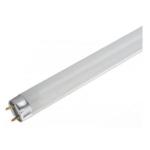 Keystone KT-LED12T8-48G-840-E 4ft External Drive 12W Type C LED T8 Tube Lamp 4000K