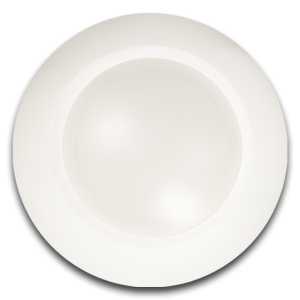 Westgate DLSN4-27K 10 Watts Surface Mount 27K