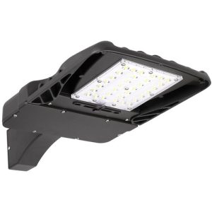 Morris 74164 DOB Area 100W 120V TYPE II 5K