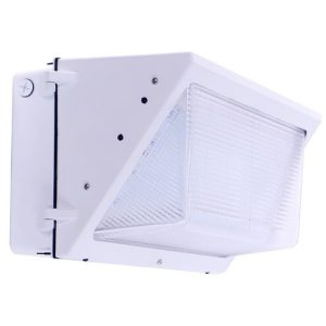 Morris 71441C Lg WP 120W 120-277V 5000K White