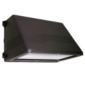 Morris 71451C Med FC WP 60W 120-277V 5000K Br