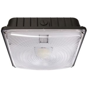 Morris 71600B Canopy 45W 4000K Br