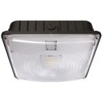 Morris 71603B Canopy 45W 5000K Br