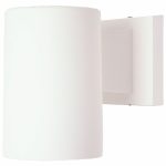 Incon Lighting 34401-3LEDA19T-OR Sea Turtle Friendly FWC Wildlife Lighting Certified 3W LED