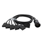 Lex BO100L-6-SP 20A 19-Pin Male (Plug) to (6) 20A Stage Pin (Bates) Females (Connectors) Breakout, 6ft