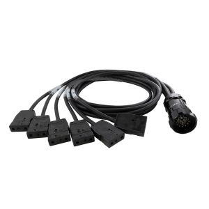 Lex BO100L-6-SP 20A 19-Pin Male (Plug) to (6) 20A Stage Pin (Bates) Females (Connectors) Breakout, 6ft