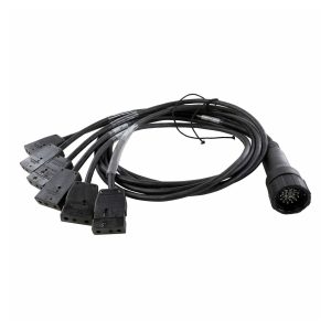 Lex EGBO100-6-SP EverGrip® Molded 19-Pin Male (Plug) to (6) 20A Stage Pin (Bates) Females (Connectors) Breakout, 6ft