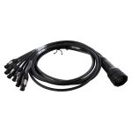 Lex EGBO100-6-TRUE1 EverGrip® Molded 19-Pin Male (Plug) to (6) powerCON® TRUE1 Females (Connectors) Breakout, 6ft