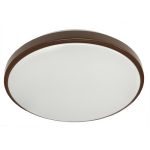Morris 72221 1-Ring Ceiling Bronze 15W 12"