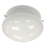 Morris 72263 S Bay Globe Ceiling 17W 4000K