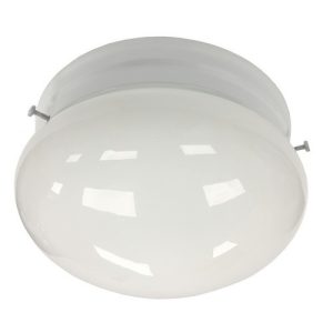 Morris 72263 S Bay Globe Ceiling 17W 4000K