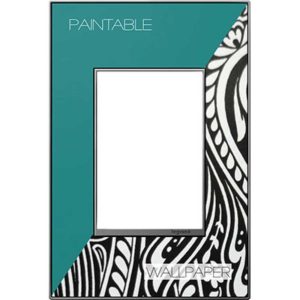 Legrand AWM1G3M4 adorne Custom 1-Gang-Plus Screwless Wall Plate - Magnesium Trim