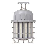 Light Efficient Design LED-9009-100-5C Light Efficient Design 100 Watt LED Temporary Work Light-5000K-12,000 Lumens-120V