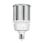 ESL Vision ESL-CL-120W-440EX39 120 Watt, CL IV Series, EX39 Base, 14160 LM, 4000 Kelvin,120-277 VAC