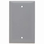 Legrand SP13GRY Pass And Seymour Plate Plastic 1-Gang Blank Without Line Gray