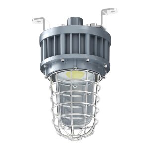 ESL Vision ESL-HZJJ-30W-150-120D Hazardous Location Jelly Jar, 5000K, 100-277VAC Input, 120 Degree Beam Angle
