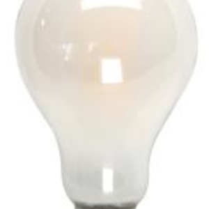 MaxLite EFF13A21D50 ENCLOSED FROST FILAMENT 13 WATT A19 E26 BASE DIM 5000K