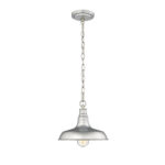 Millennium Lighting 2952-GA One Light Outdoor Hanging Lantern Galvanized finish