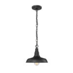 Millennium Lighting 2952-PBK One Light Outdoor Hanging Lantern Powder Coated Black finish