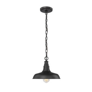 Millennium Lighting 2952-PBK One Light Outdoor Hanging Lantern Powder Coated Black finish