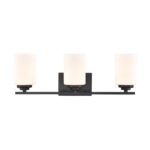 Millennium Lighting 3183-MB Durham Three Light Vanity Matte Black finish