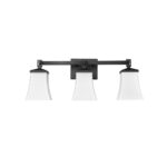 Millennium Lighting 10203-MB Sonorra Three Light Vanity Matte Black finish