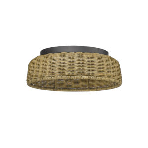 Millennium Lighting 14202-MB Two Light Flushmount Matte Black finish