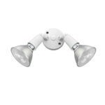 Millennium Lighting 16002-MW Two-lamp Outdoor Adjustable Flood Light Matte White finish