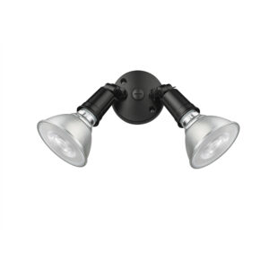 Millennium Lighting 16002-PBK Two-lamp Outdoor Adjustable Flood Light Powder Coated Black finish