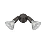Millennium Lighting 16002-PBZ Two-lamp Outdoor Adjustable Flood Light Powder Coated Bronze finish