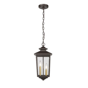 Millennium Lighting 4643-PBZ Eldrick One Light Outdoor Hanging Lantern Powder Coated Bronze finish