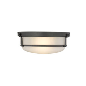 Millennium Lighting 4662-MB Arlson Two Light Flush Mount Matte Black finish