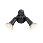 Millennium Lighting M-16002-PBK Two Light Outdoor With Motion Sensor Floodlight Powder Coated Black finish