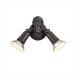 Millennium Lighting M-16002-PBZ Two Light Outdoor With Motion Sensor Flood Light Powder Coated Bronze finish