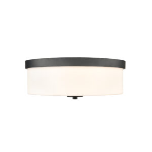 Millennium Lighting 214102-MB Laphia Two Light Flush Mount Matte Black finish