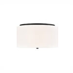 Millennium Lighting 41002-MB Guyten Two Light Flush Mount Matte Black finish