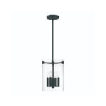 Millennium Lighting 55301-MB Vissi Four Light Pendant Matte Black finish