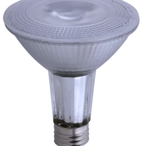 Goodlite G-83334 Par30 Led Bulb 3000k